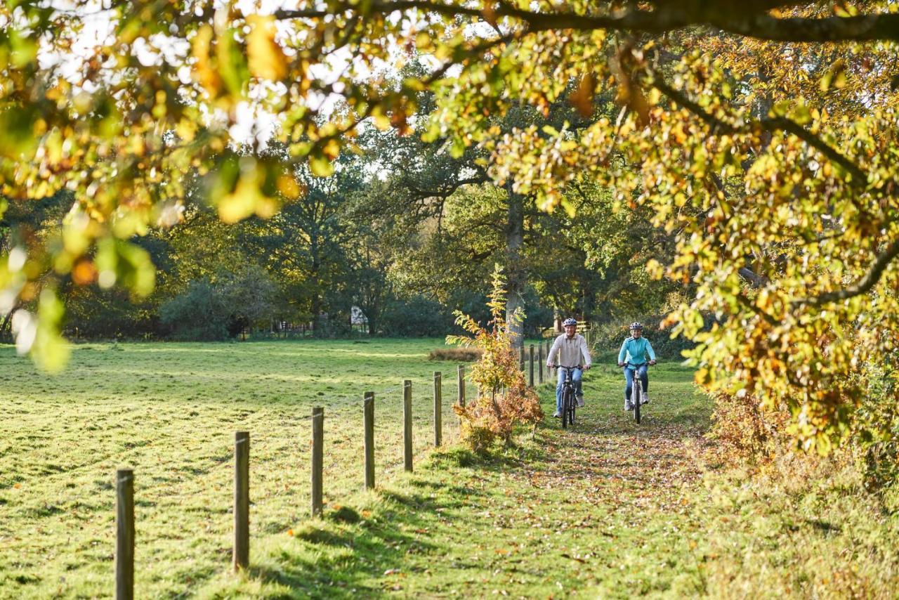 Hotel Whitemead Forest Park à Lydney Extérieur photo